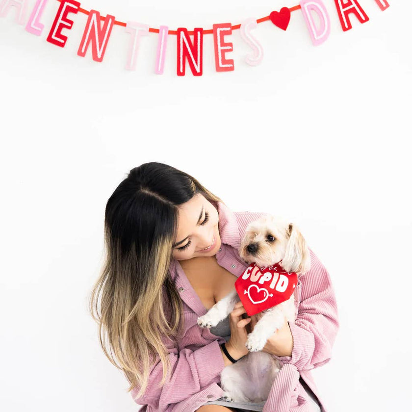 Pearhead Cuter than Cupid Dog Bandana, S/M
