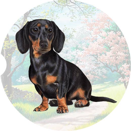 Dachshund, Black Car Coaster