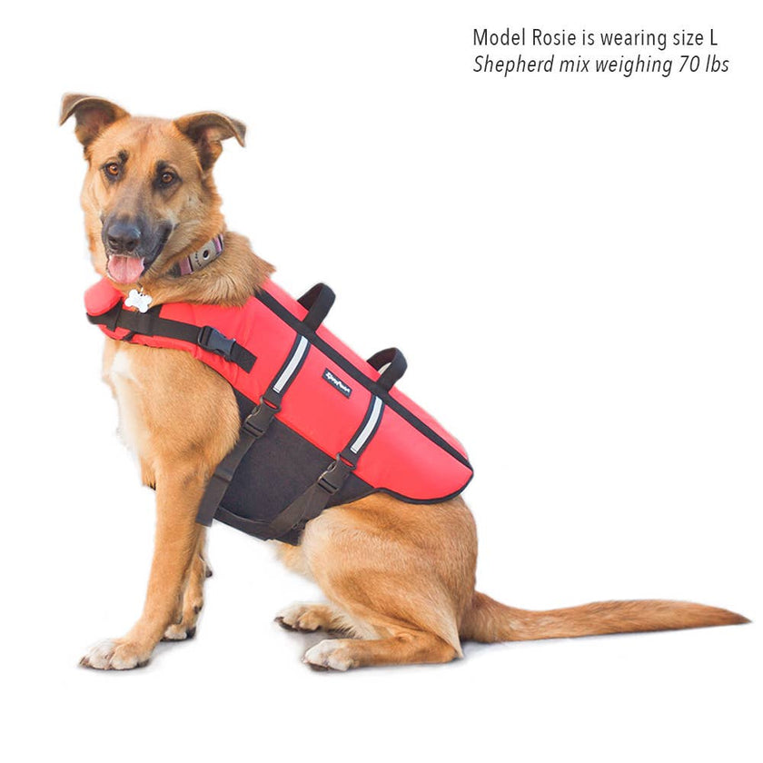 Adventure Dog Life Jacket