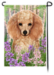 This Poodle Apricot Spring Flowers Garden Flag is a testament to the beauty of your favorite breed and the American Flag
