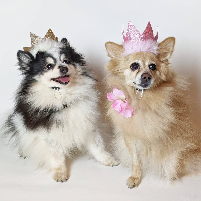 Party Crown Pink with SnugFit®
