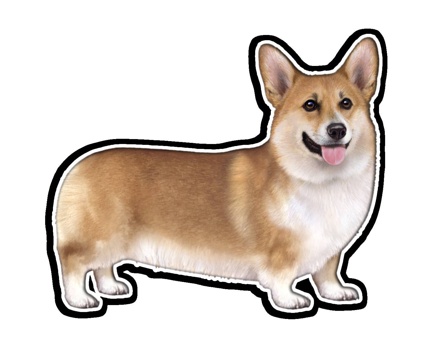 Welsh Corgi  - Vinyl Sticker