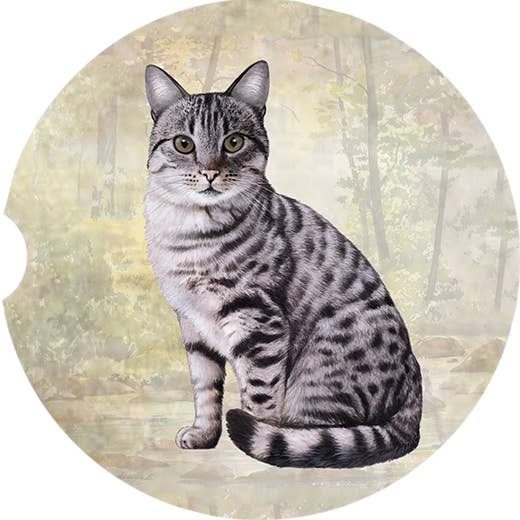 Tabby Silver Car Coaster: Sitting