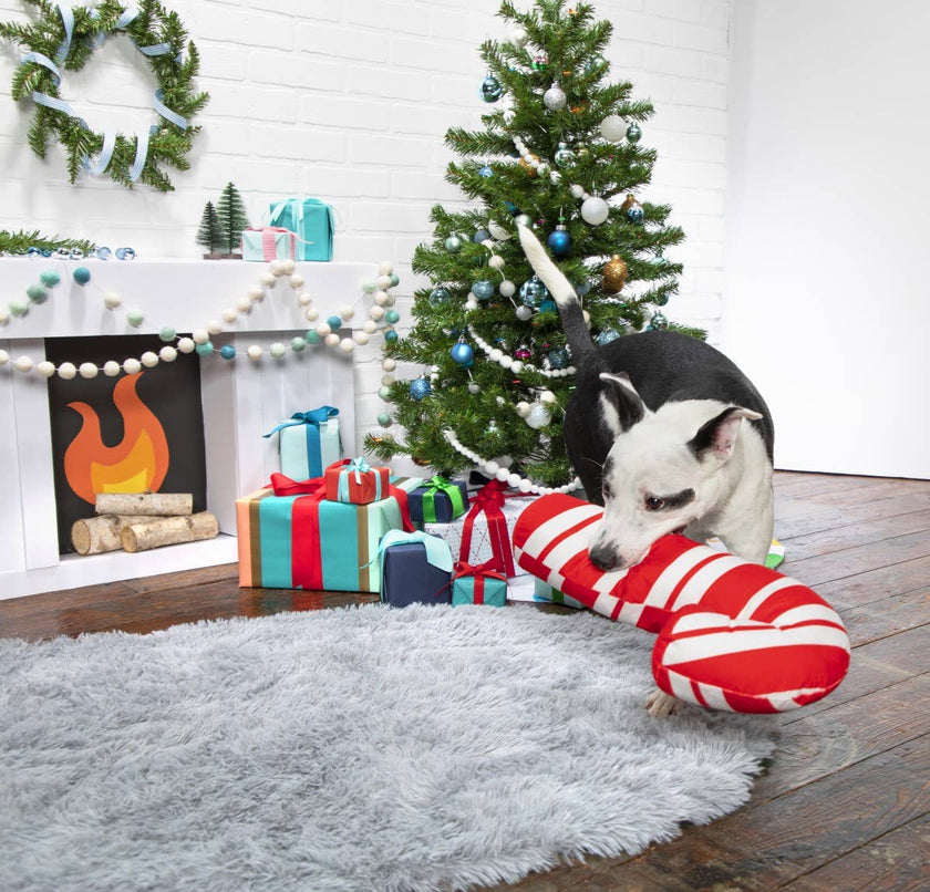 BARK Grandy Cane Christmas Candy Cane Plush Dog Toy