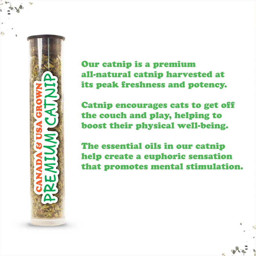 Meowijuana® Get Sprung Frog Refillable Cat Toy
