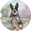 Australian Cattle Dog Car Coaster