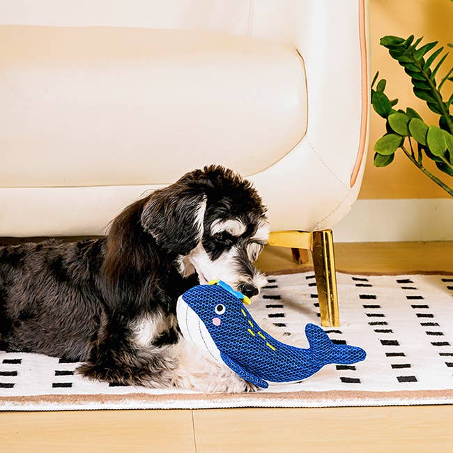 Dog Toy Whale Ocean Pals Dog Plush Toy