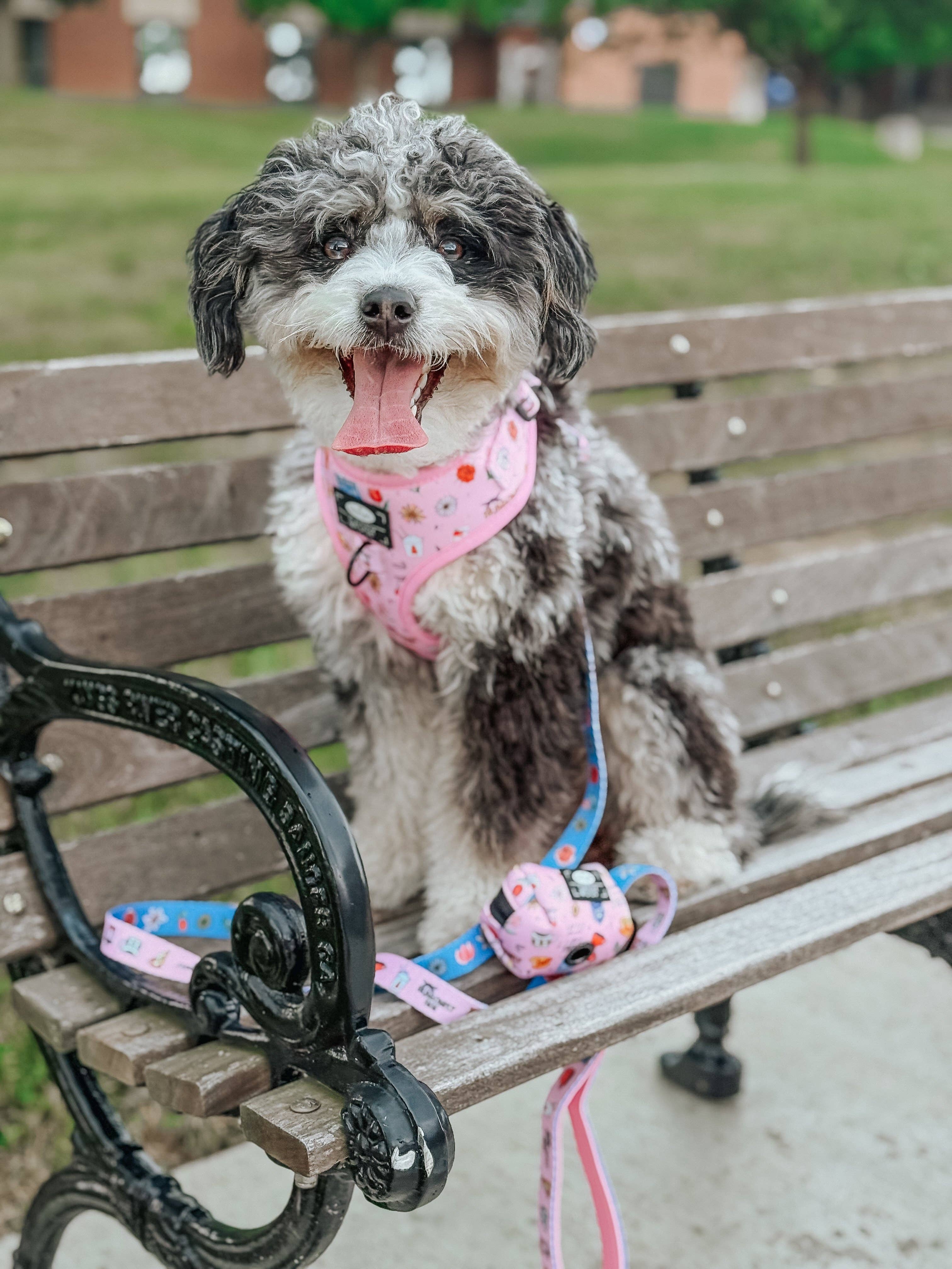 Dog Waste Bag Holder - Gilmore Girls™