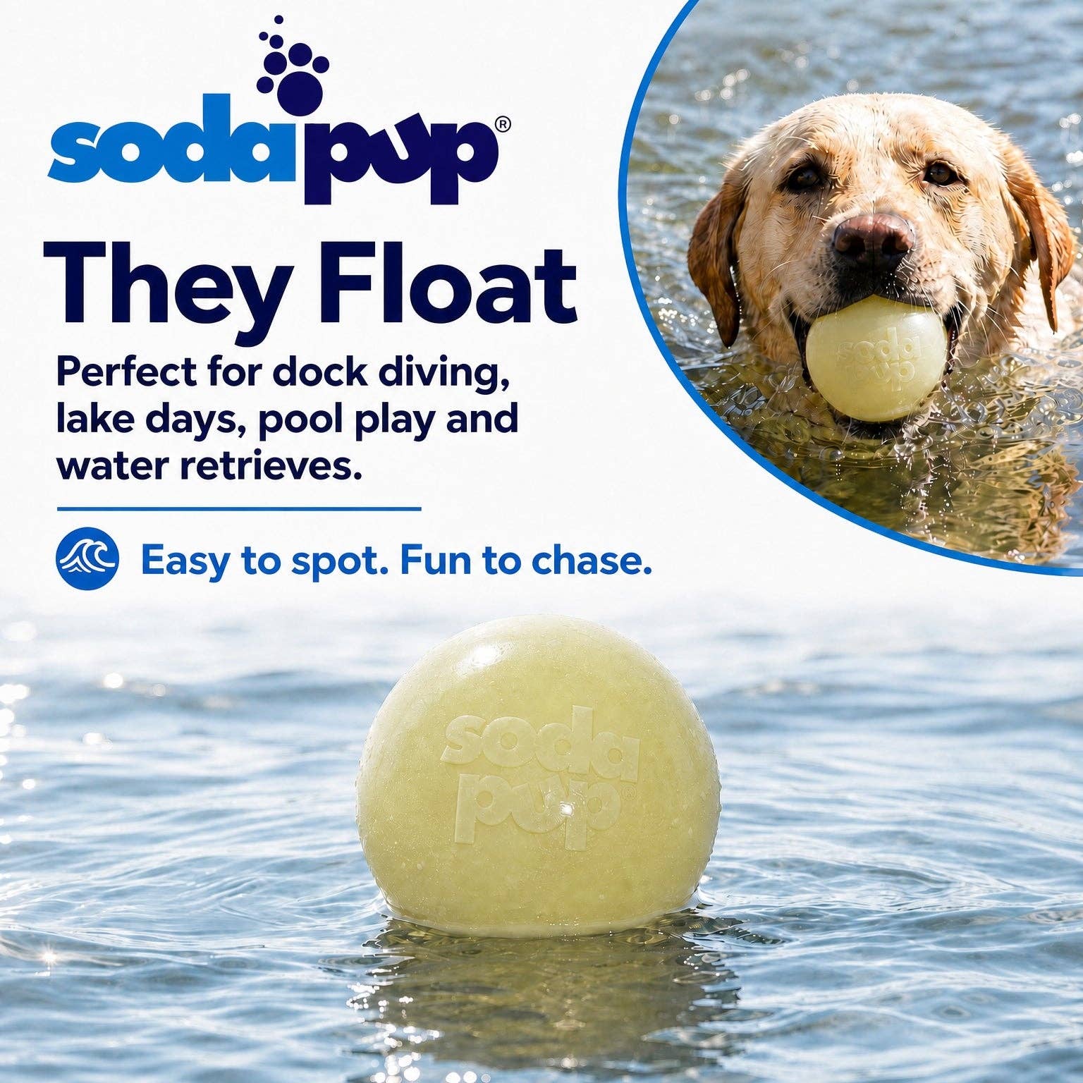 Glow in the Dark Glitter Ball 2-Pack Dog Toy Soft PUP-X Rubber Floating Fetch Ball with Treat Dispenser
