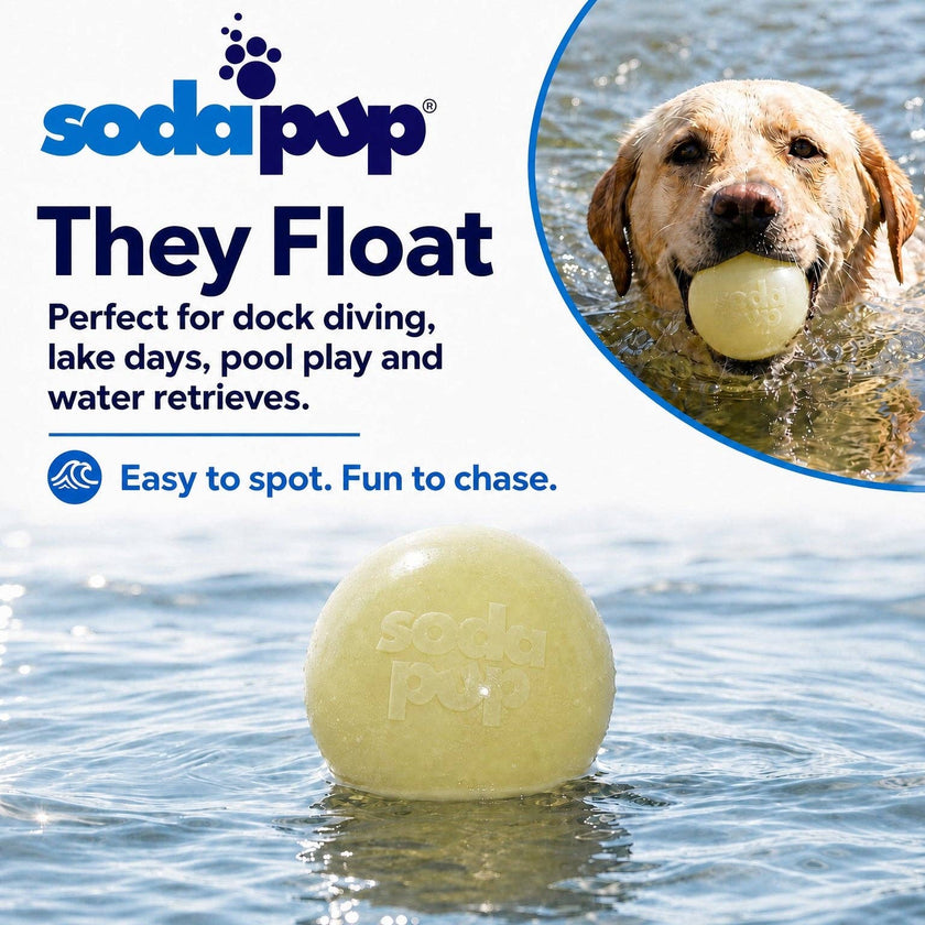 Glow in the Dark Glitter Ball 2-Pack Dog Toy Soft PUP-X Rubber Floating Fetch Ball with Treat Dispenser