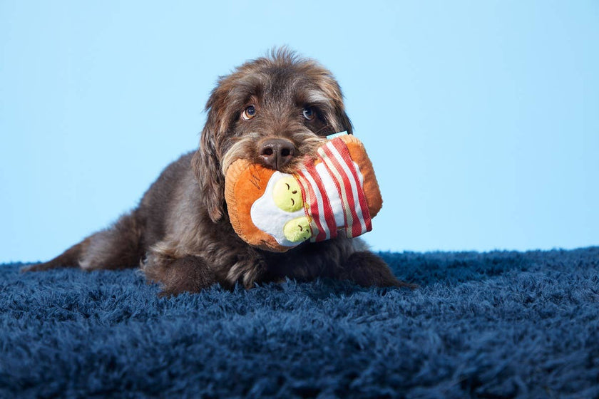 BARK Barkfest in Bed Dog Toy