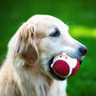 Santa Ruff-Tex® Latex Christmas Ball Dog Toy