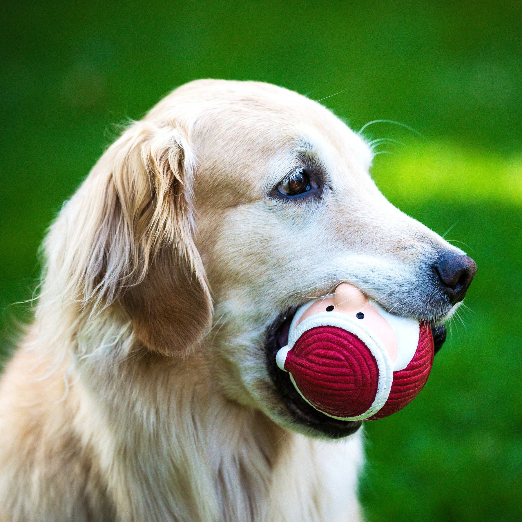 Santa Ruff-Tex® Latex Christmas Ball Dog Toy