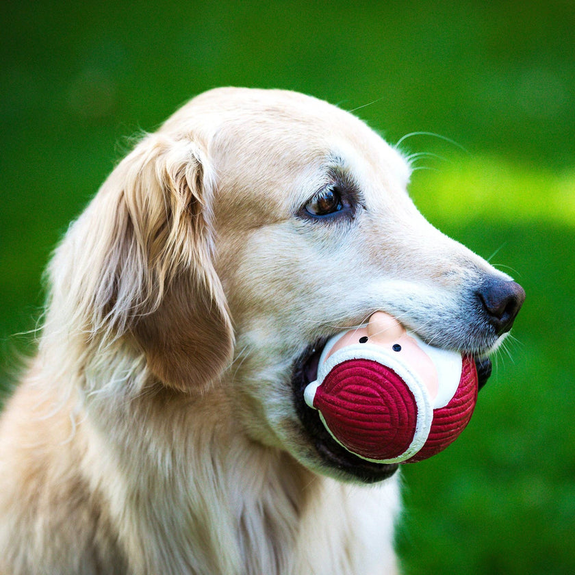 Santa Ruff-Tex® Latex Christmas Ball Dog Toy