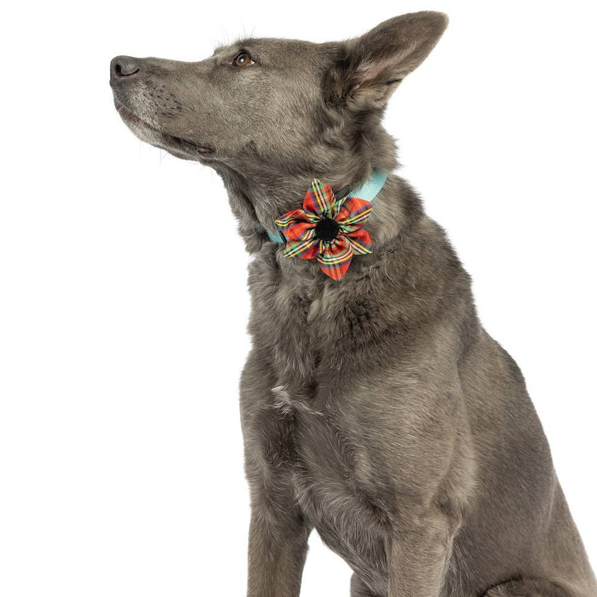 H&K Shiny Christmas Plaid Pinwheel