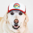 Surfer Trucker Hat for Dogs