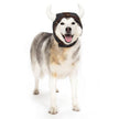 Viking Helmet Dog or Cat Costume Hat