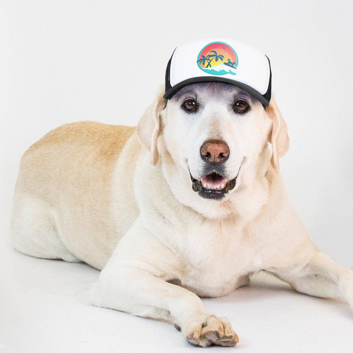 Surfer Trucker Hat for Dogs