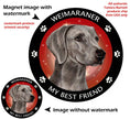 Weimaraner My Best Friend Circular Magnet