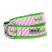 Pink Stripe Alligator Collar