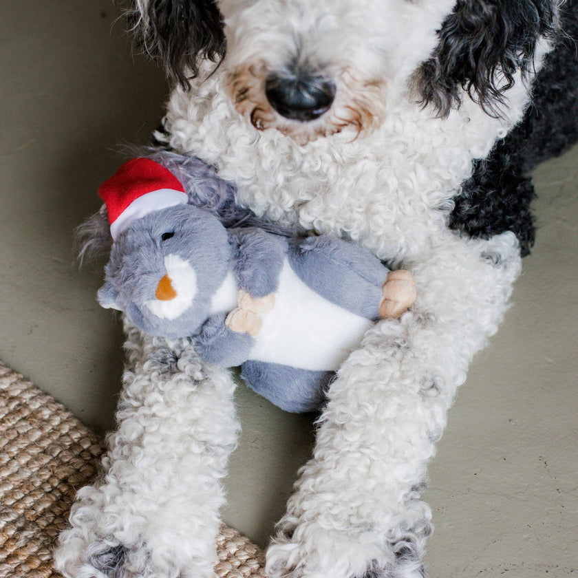 Christmas Squirrel Plush Furry Tail Large Dog Toy