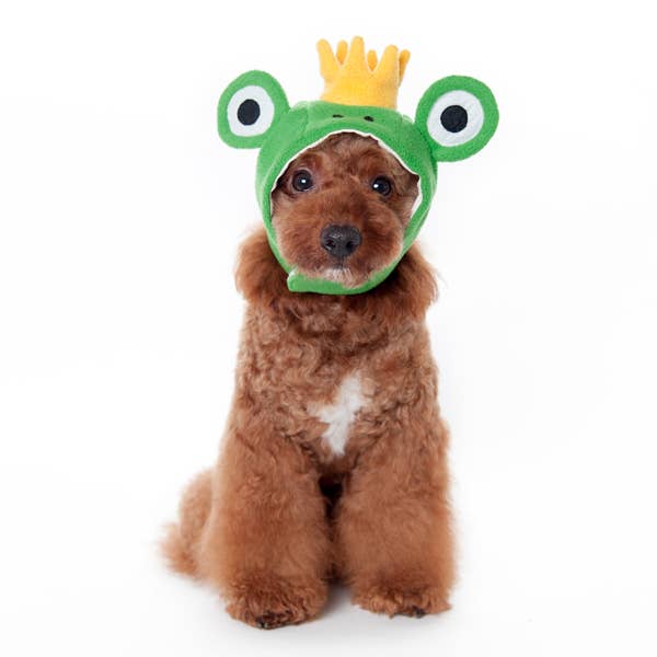 Prince Frog Dog or Cat Costume Hat