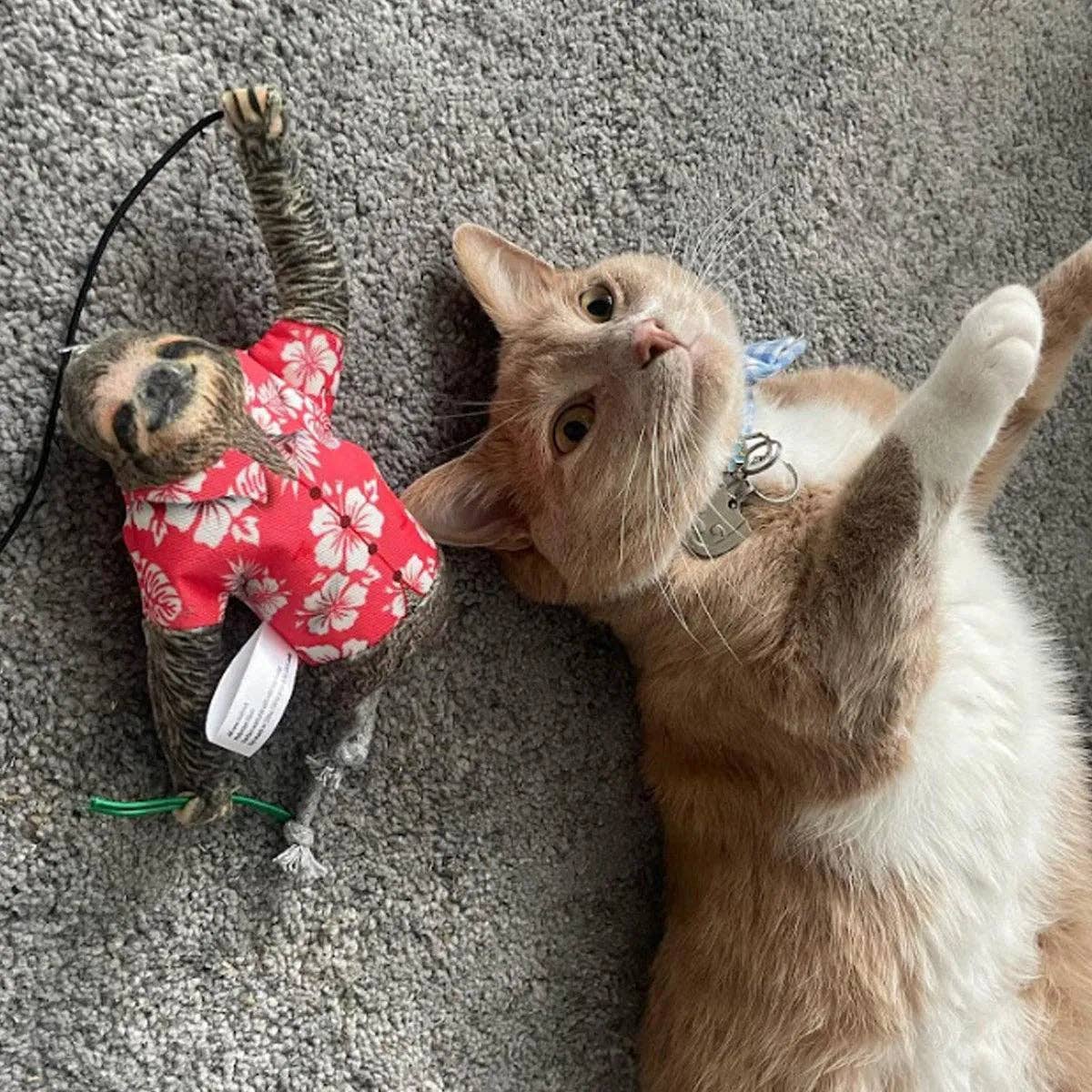 Meowijuana® Jump 'n' Jamb Get Wild Sloth Interactive Cat Toy