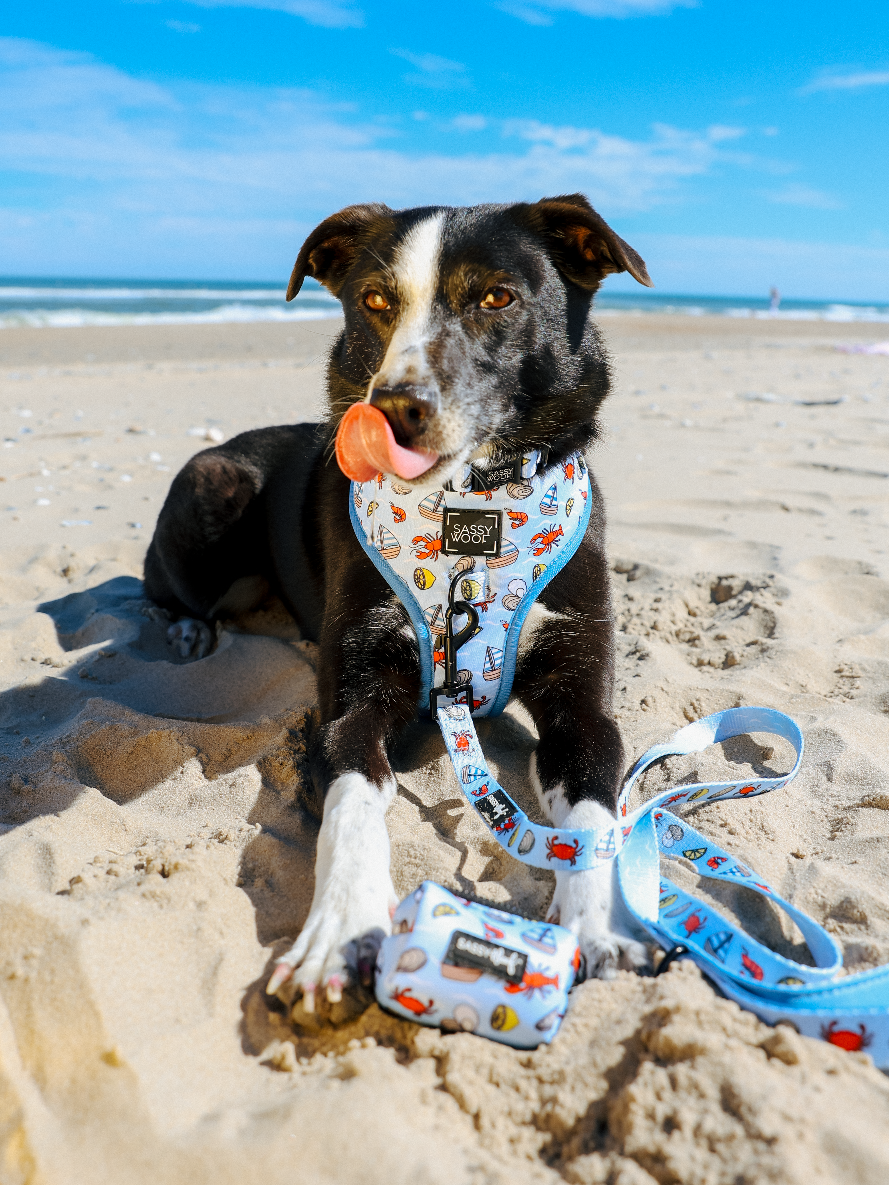 Dog Waste Bag Holder - Coastal Cuties