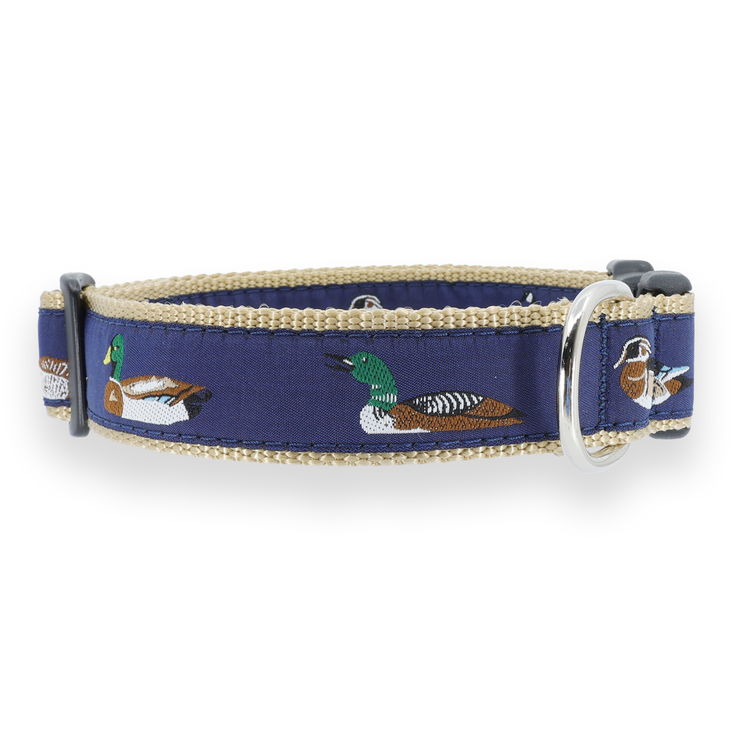 Waterfowl #20