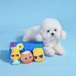 Dog Toy Pina Cola, Pineapple and Coconut Plush Toy Set