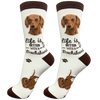 Dachshund Red Dog Socks Unisex