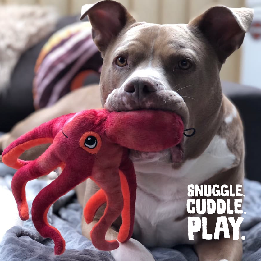 SnugArooz Olivia the Octopus Plush Dog Toy 11