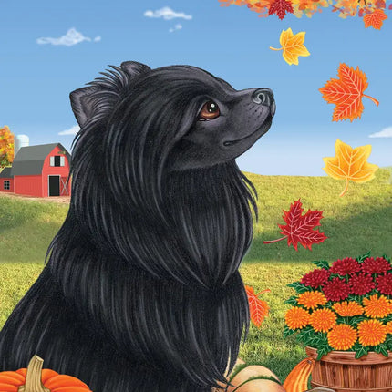Pomeranian, Black Garden Flag (Fall)