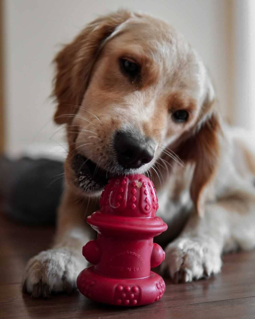 Double Wall Hydrant Treat Hiding Toy- Made in the USA
