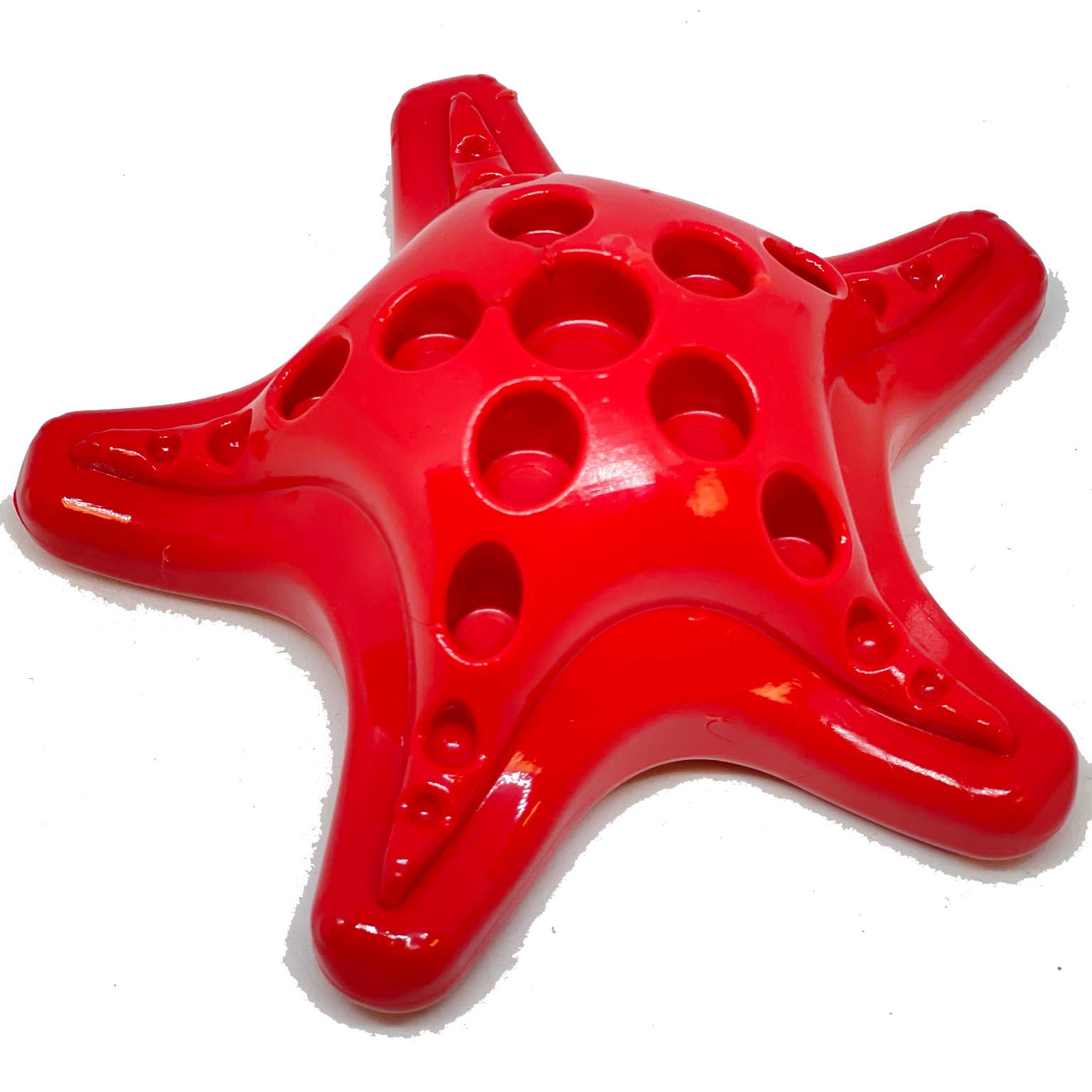 SP Starfish Ultra Durable Nylon Dog Chew Toy for Aggressive Chewers