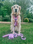 Dog Waste Bag Holder - Purple Haze
