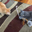 Cat Toy Cat-Fishing Retractive Pole Toy