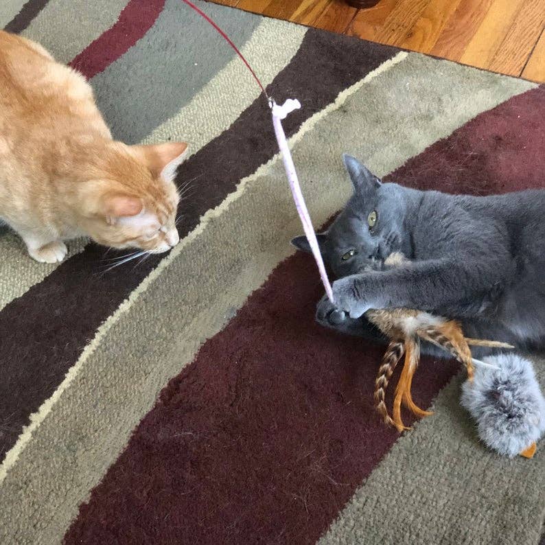Cat Toy Cat-Fishing Retractive Pole Toy