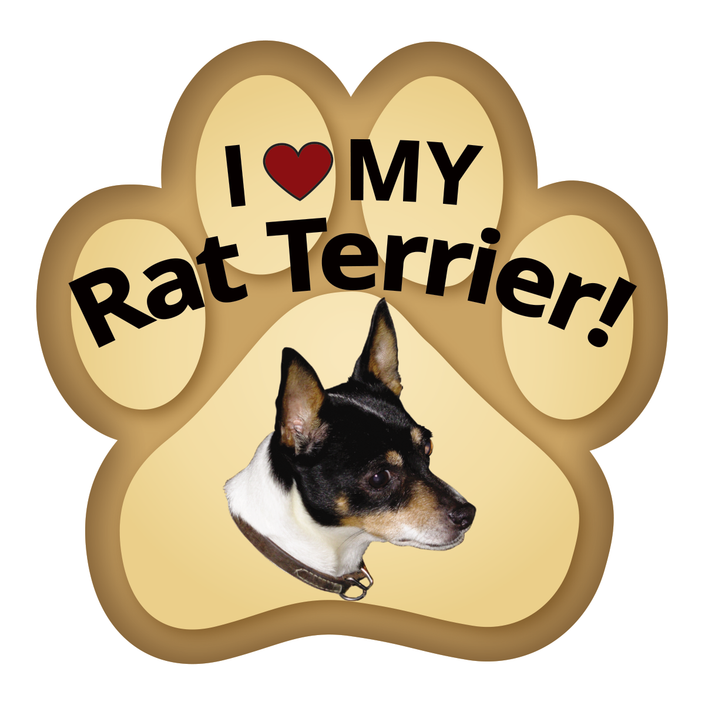 Show off your love for your favorite furry friend with our Rat Terrier Paw Magnet! Perfect for your car trunk or any magnetic surface, this adorable paw-shaped magnet features a vibrant image of your favorite dog or cat breed. Made from durable, weather-resistant materials, it’s designed to withstand the elements while adding a touch of personality to your vehicle or home. 