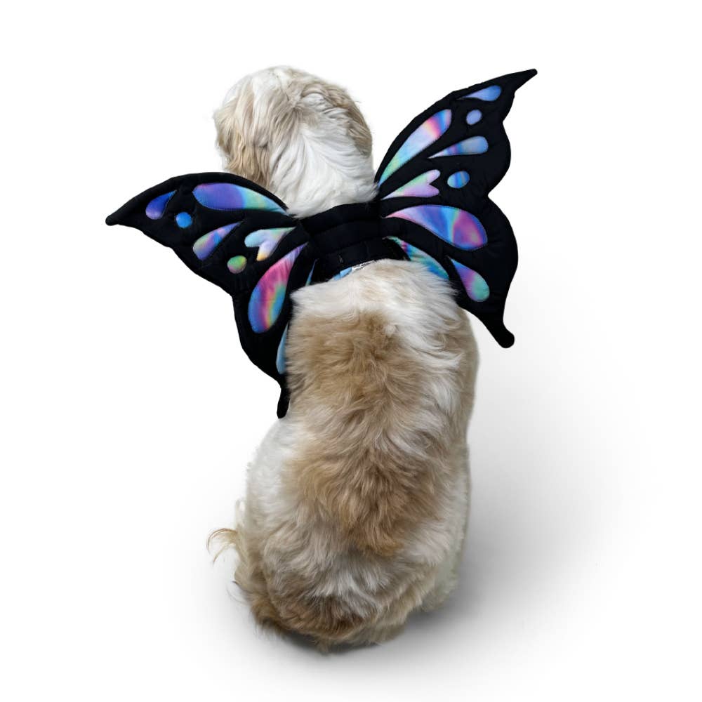 Butterfly Wings