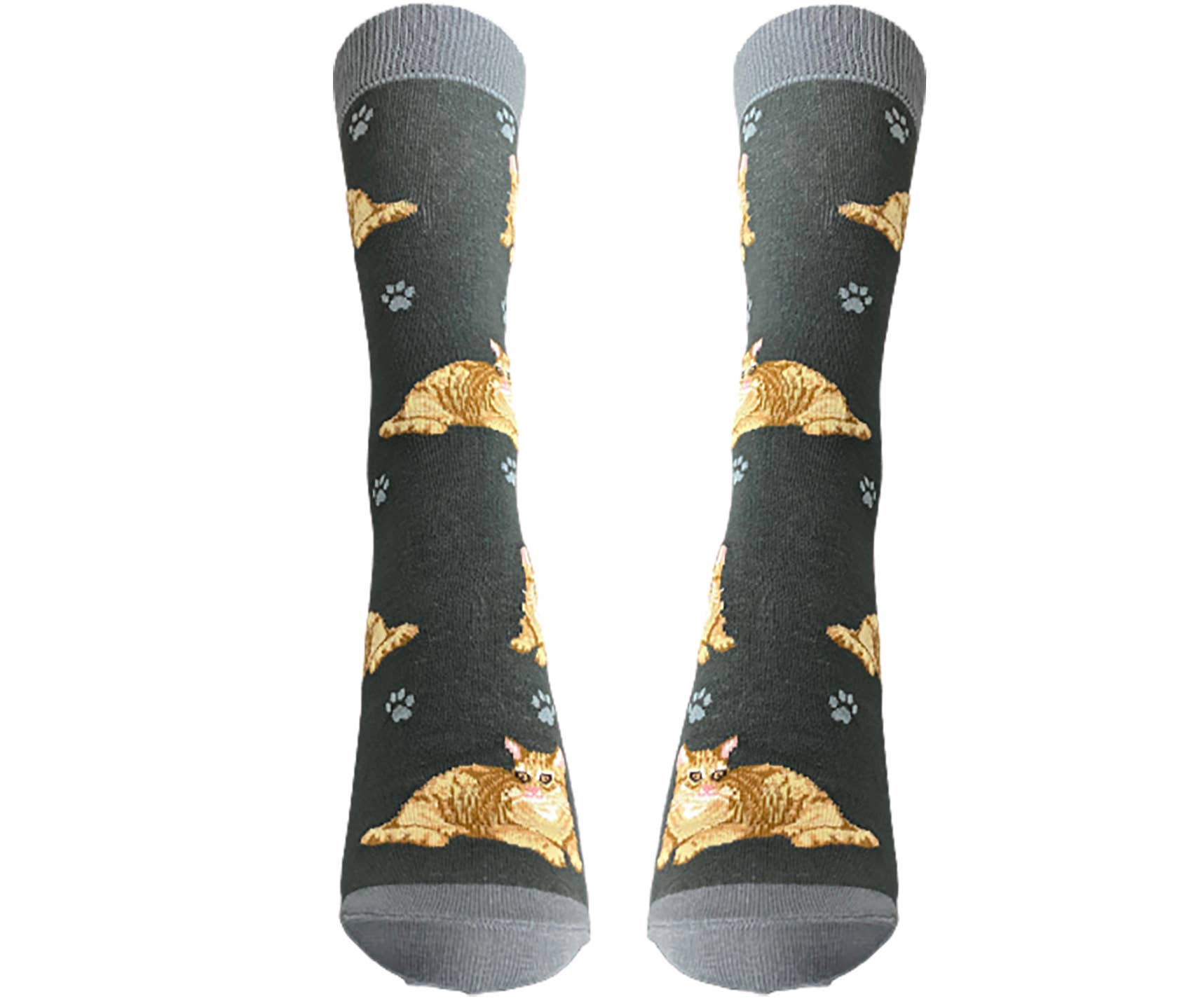 Orange Tabby Cat Socks Unisex