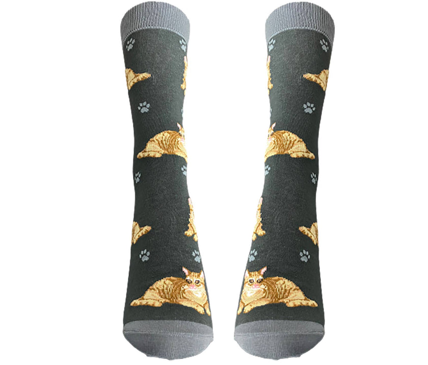 Orange Tabby Cat Socks Unisex