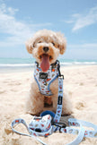 Dog Waste Bag Holder - Coastal Cuties