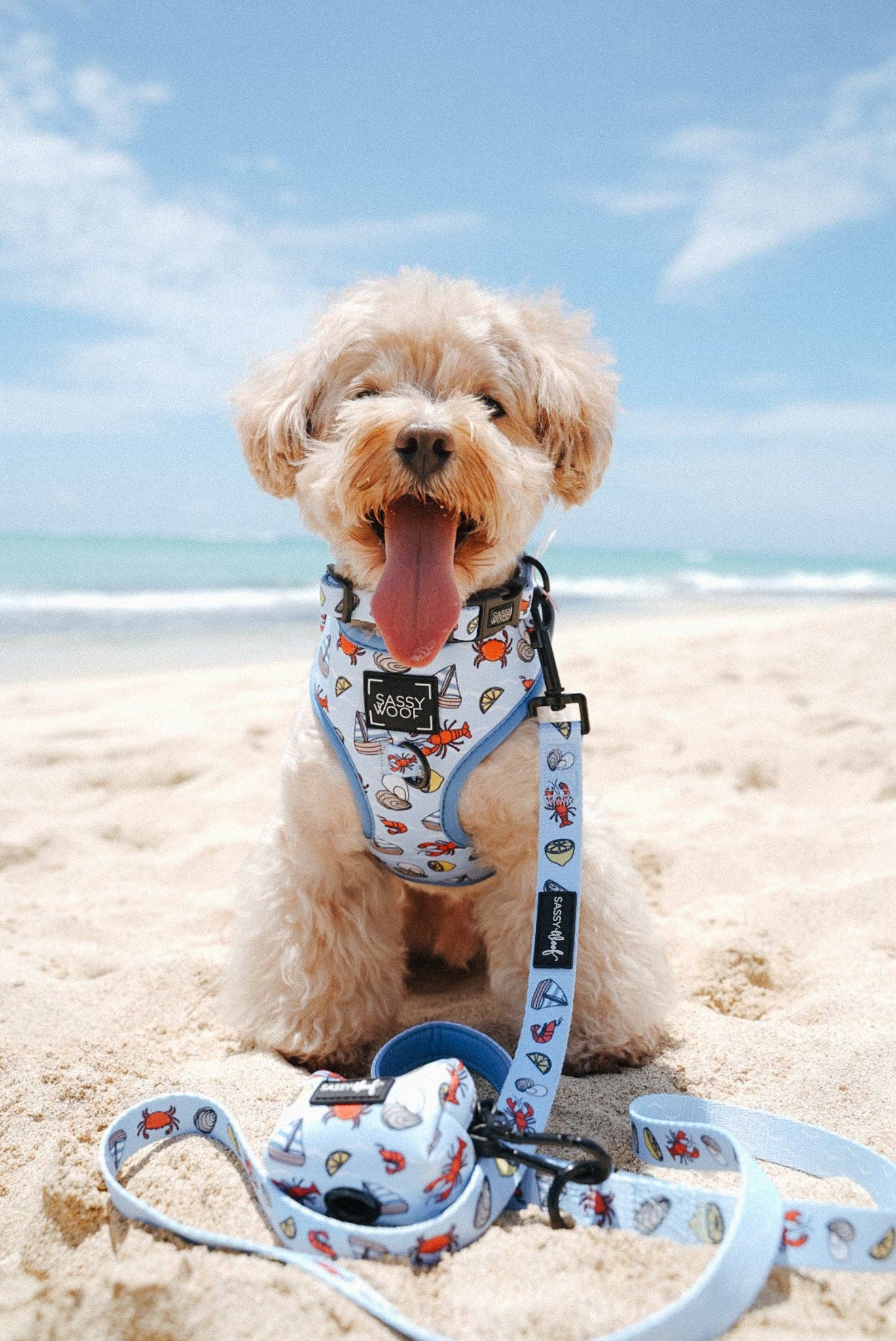 Dog Waste Bag Holder - Coastal Cuties