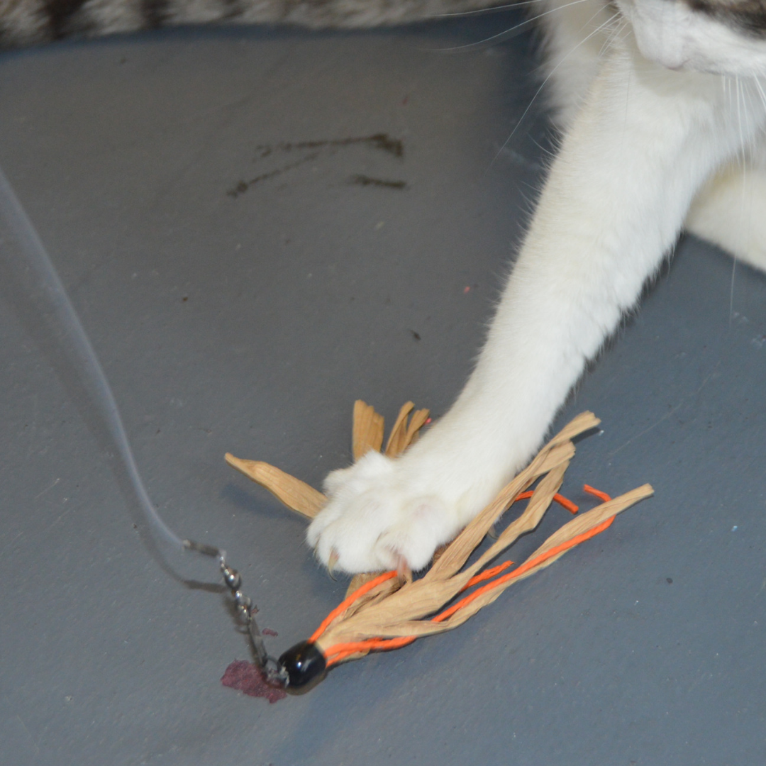Cat Toy Cuttlefish Wand Attachment Replacement