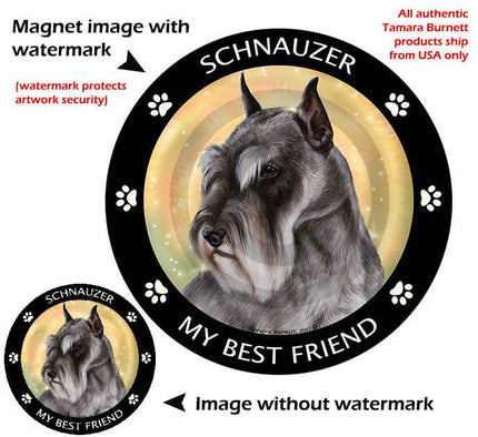 Schnauzer Grey Cropped My Best Friend Circular Magnet