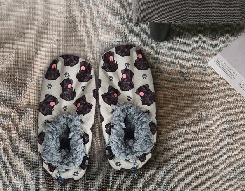 Labrador, Black Slippers