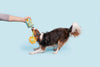 BARK Funflower Seeds Dog Toy