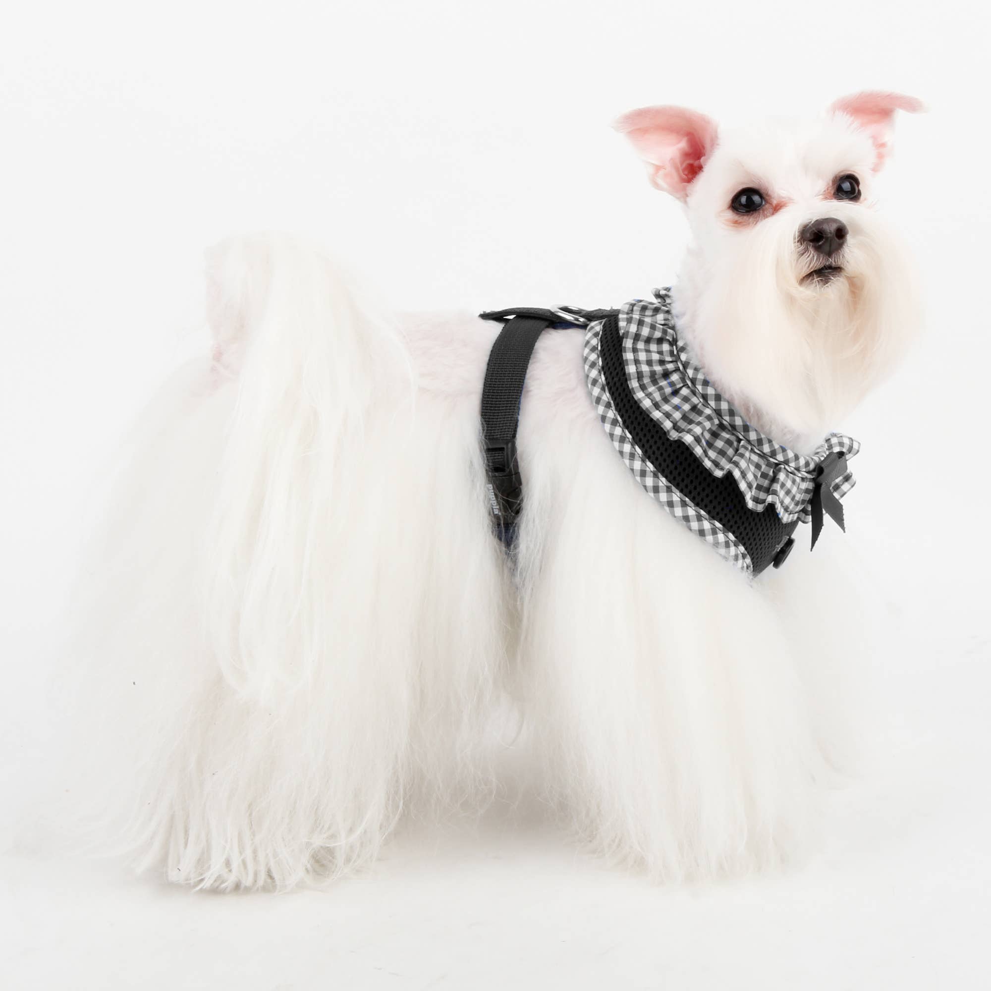 Checkered Ruffle Dog Harness Over-the-Head Vivien