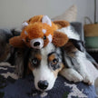 Dog Toy Red Panda Stuffless Squeaker Toy